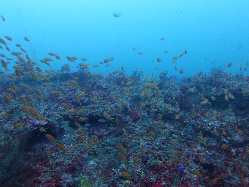 画像に alt 属性が指定されていません。ファイル名: oi000004.jpg