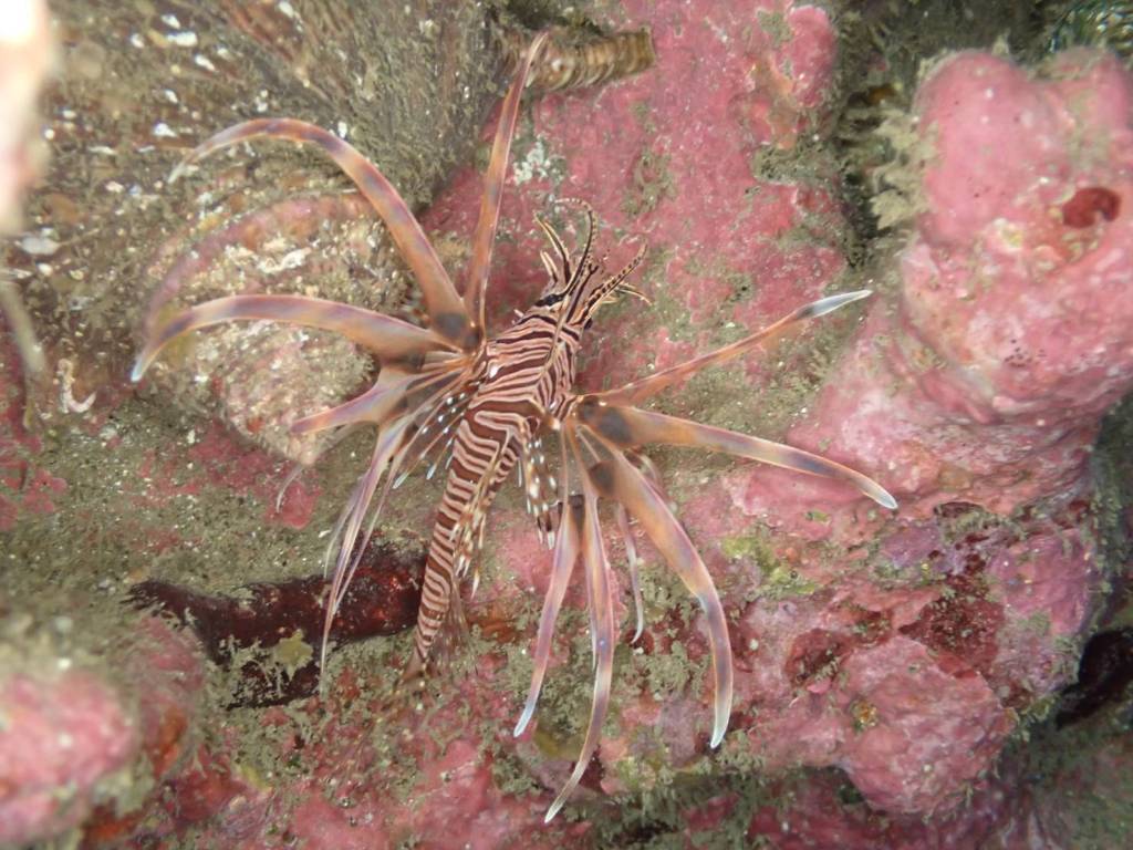 沖・ビーチと。