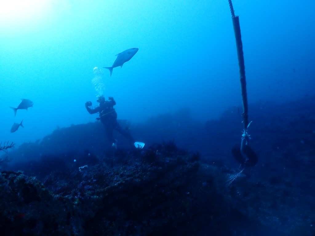 モニター会行ってきました！！