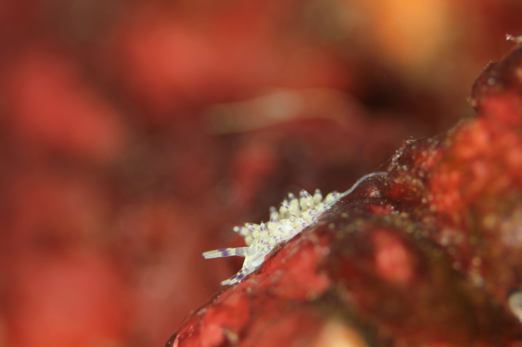 沖出ましたよー。