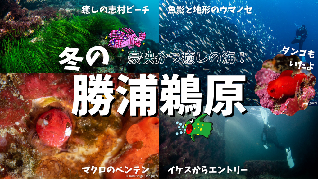 記事にしていただきました。