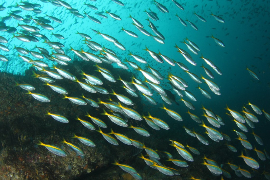 連休前の天気は。。
