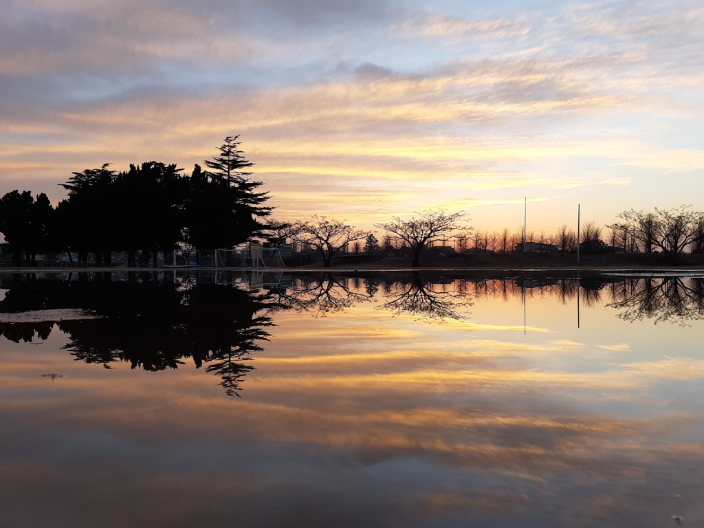 パンフレット完了