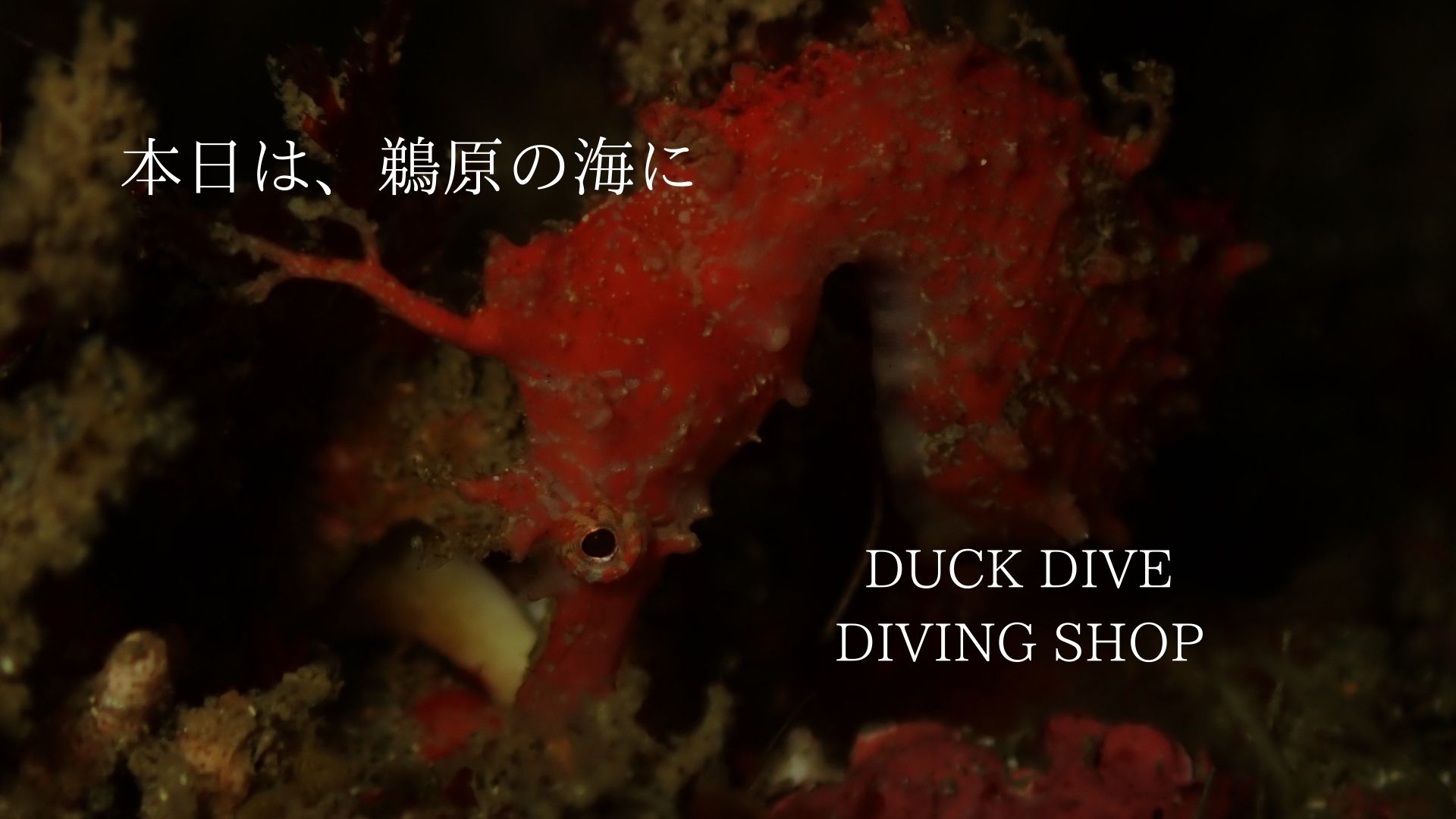 無題の投稿4528