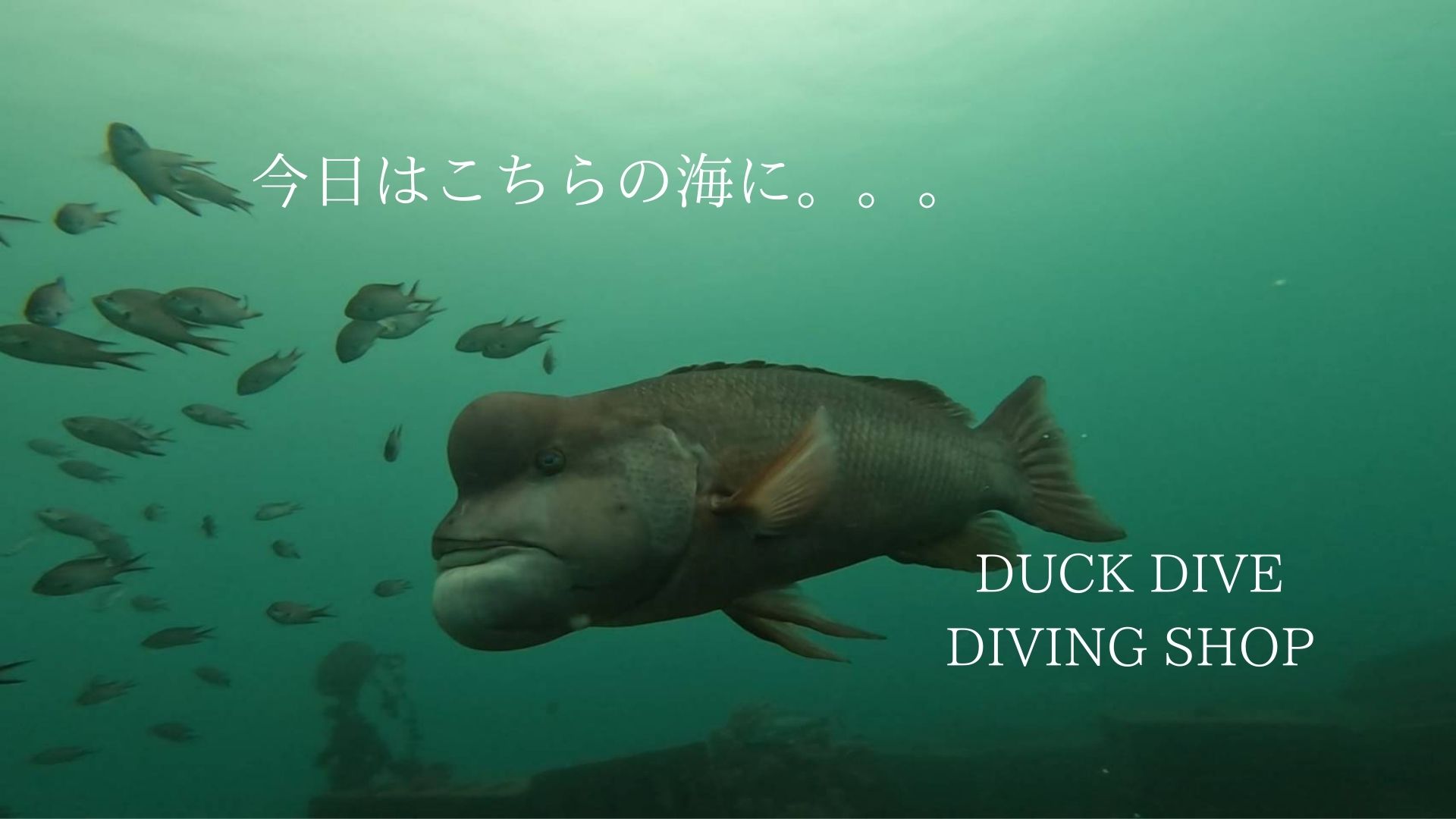 無題の投稿4423