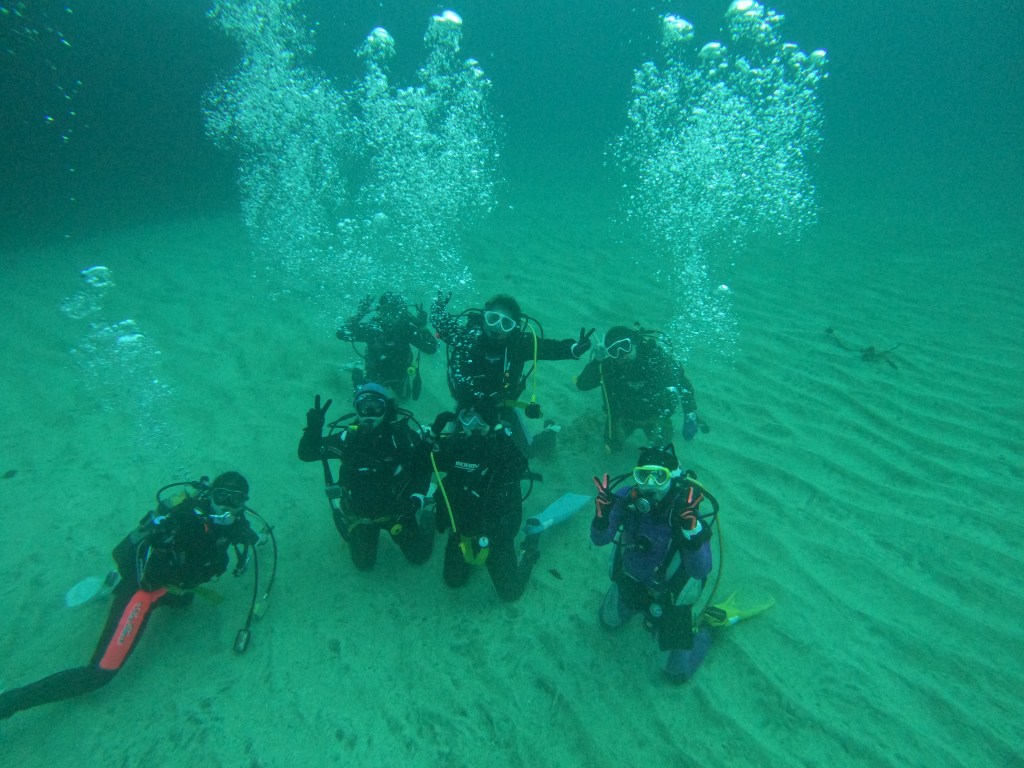 今日は、鵜原の海に