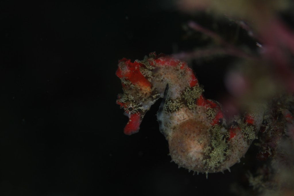 今日ってそういえば。