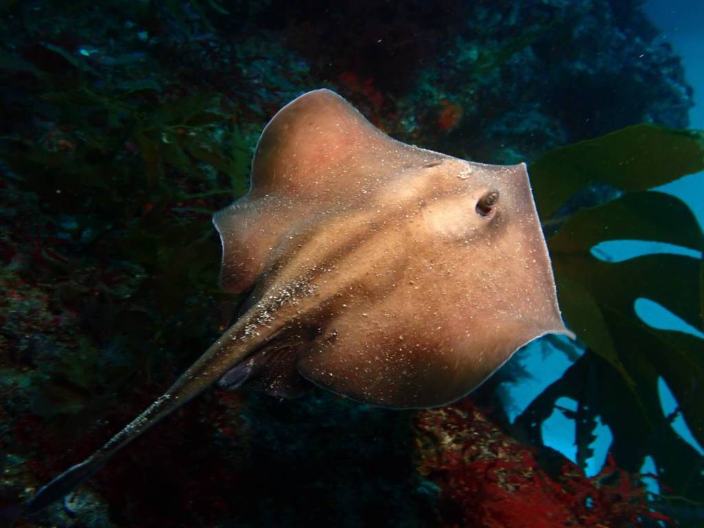 GW初日ビーチから