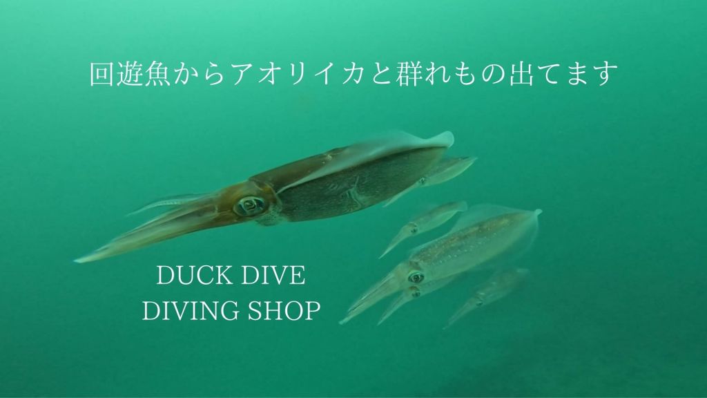 ワイド狙い当たり