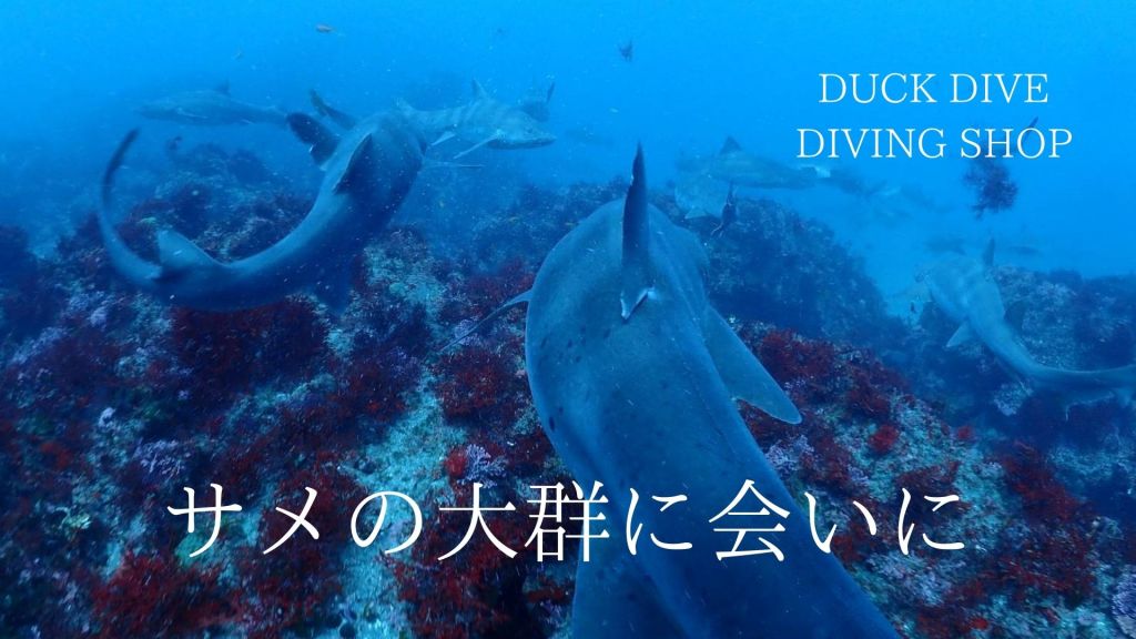 ２日目はこちらに。