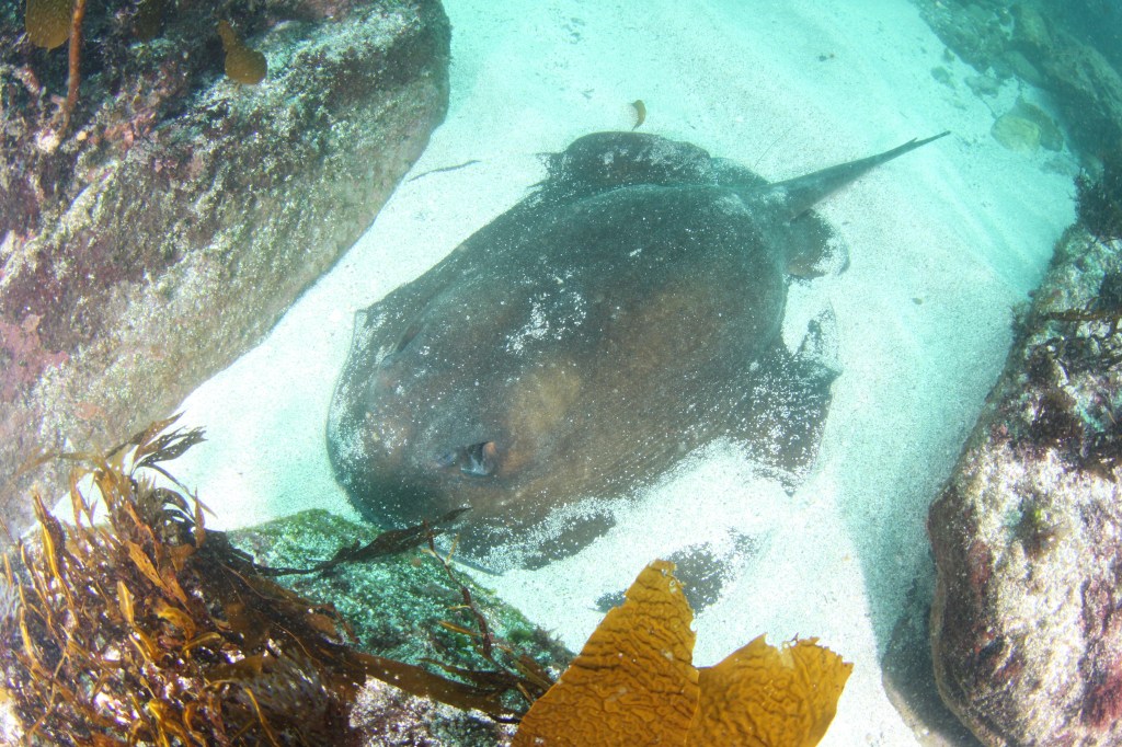 ４月のはじまり