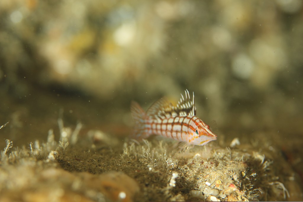 明日から週末。