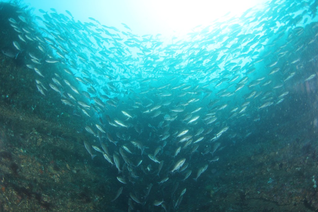 ルーティンが。。。