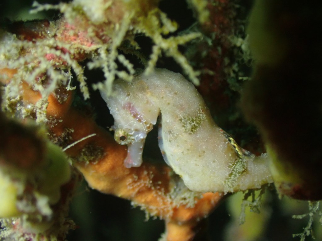 台風すぎてほしい。