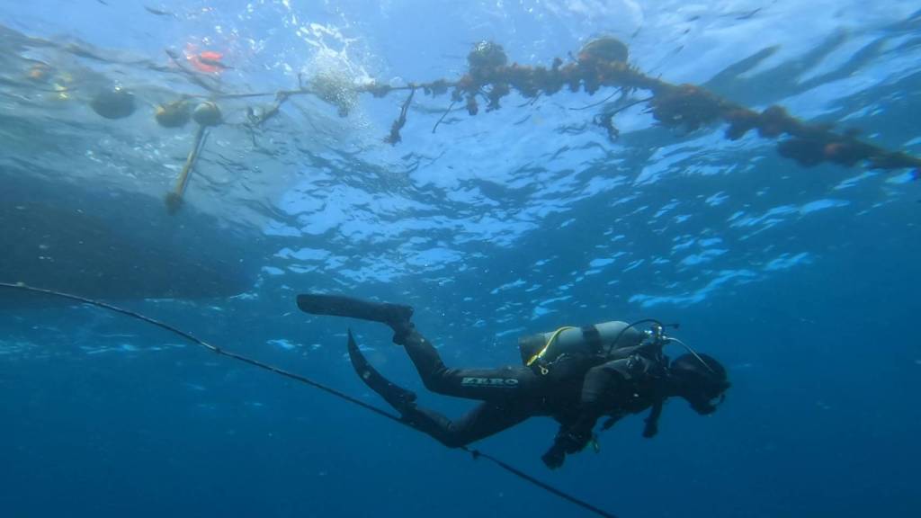 GW４日目はこちらに。