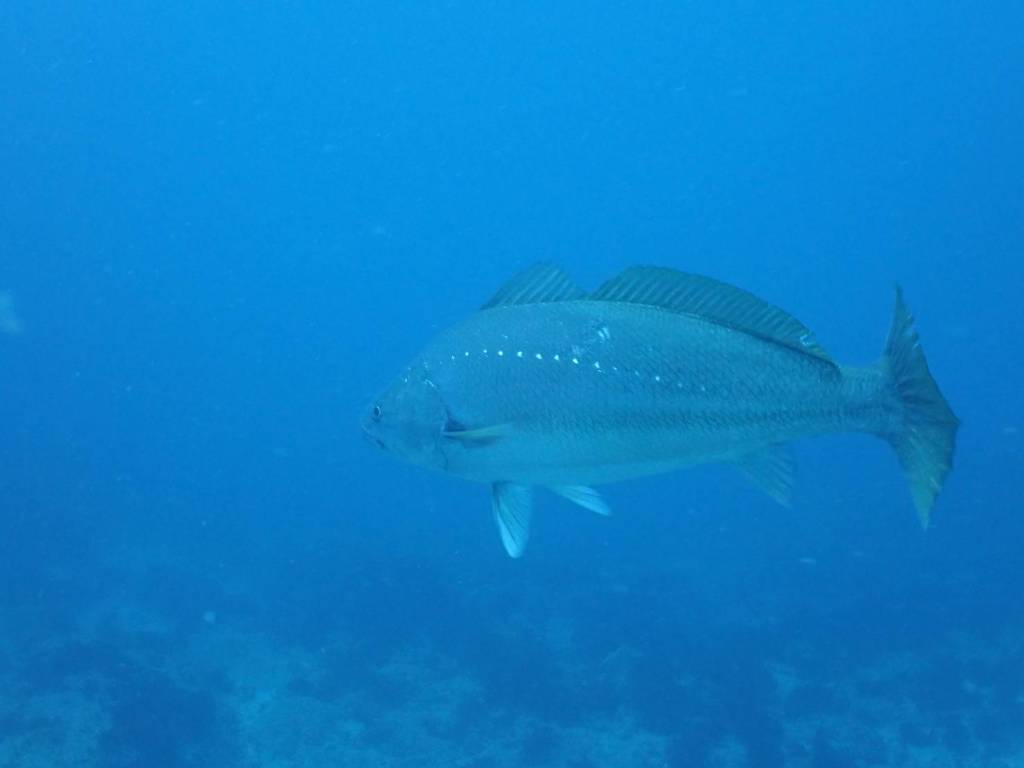 GW５日目こちらに。