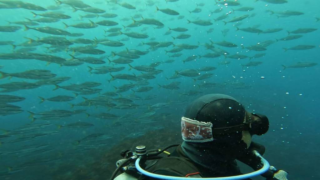 潜り終わってから。