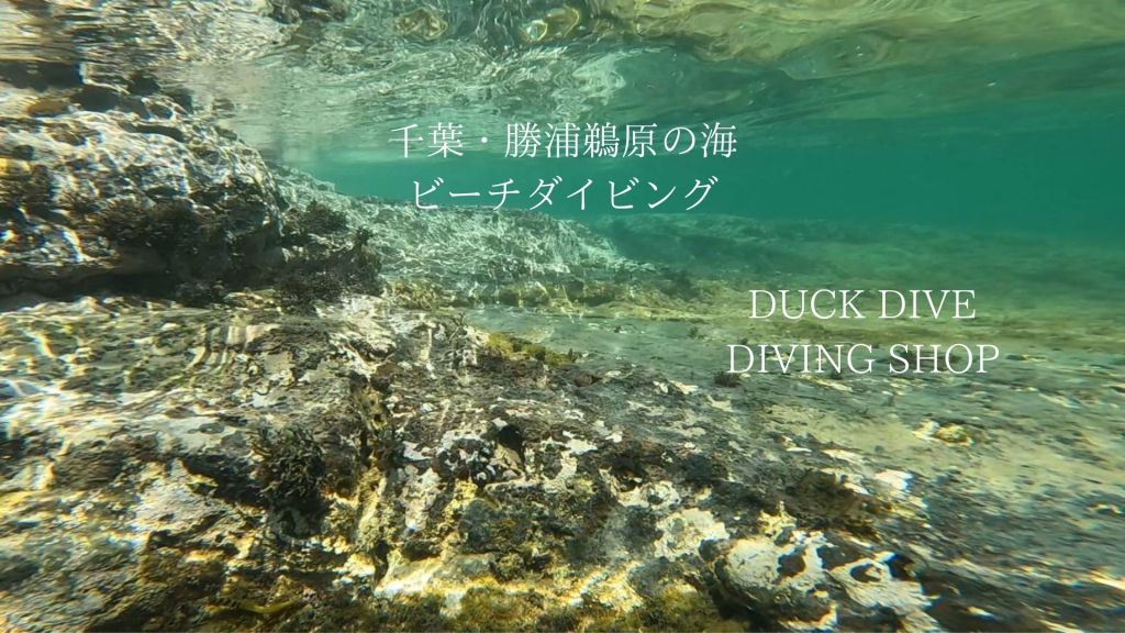 ビーチでまったり