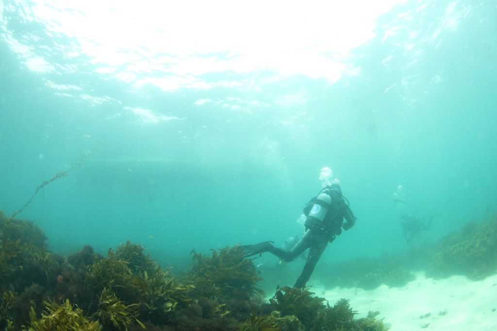 低気圧の影響。。