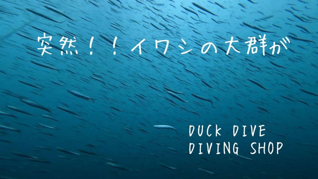 魚影が濃い一日でした！