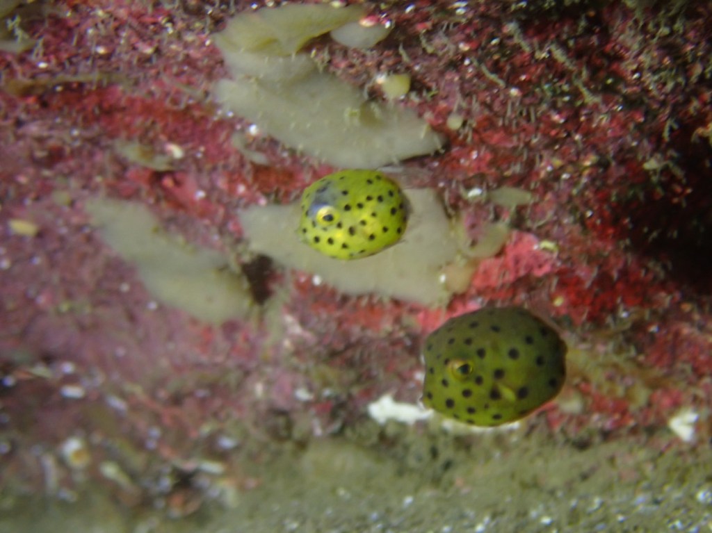 浅場も良いよねー。