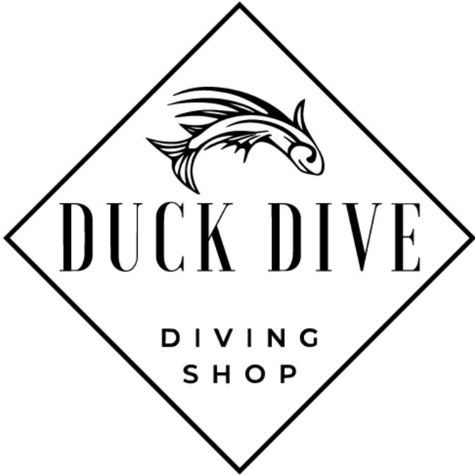 千葉県勝浦市の海でスキューバダイビング　DUCK DIVE【ダックダイブ】