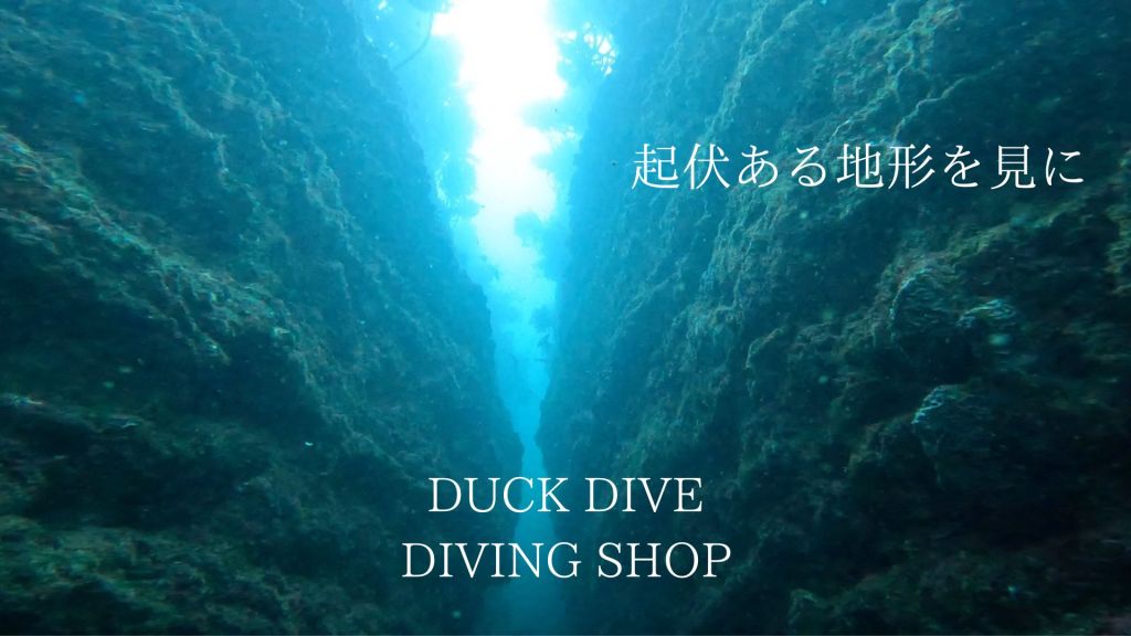 ２日間の勝浦の旅。