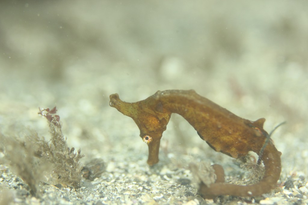 週末空きました。