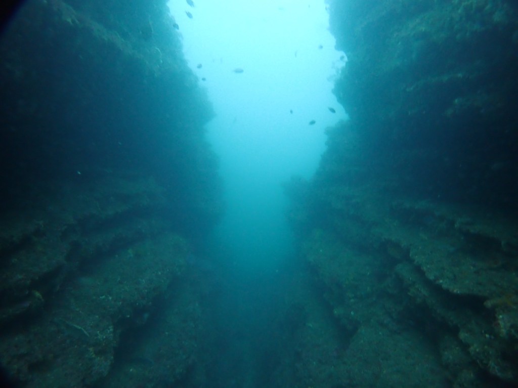 無題の投稿 7601