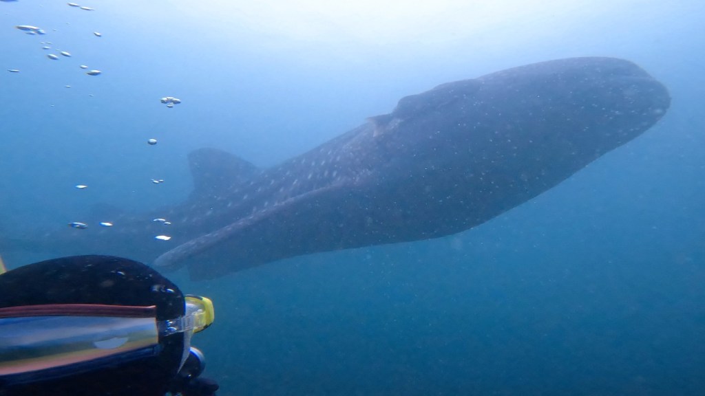 ２日間ありがとうございました。