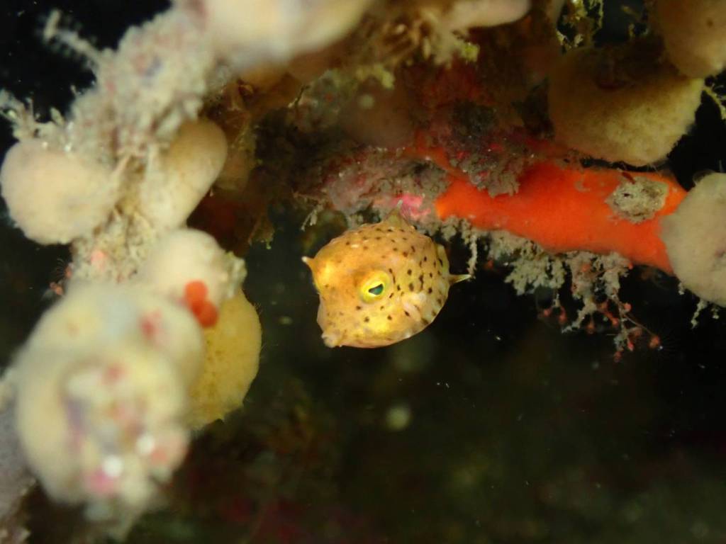 沖行ってきましたー。