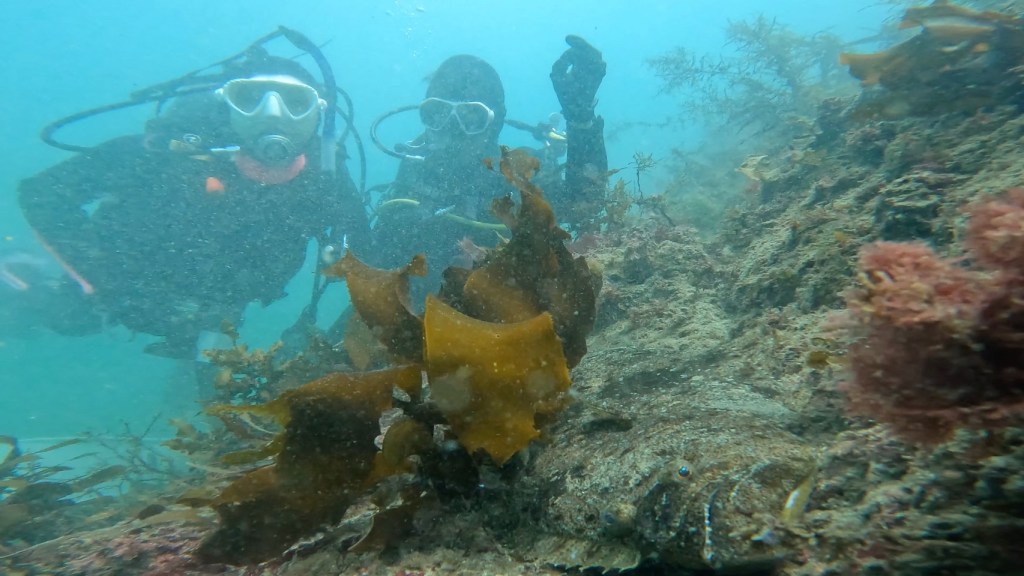 ありがとうございました