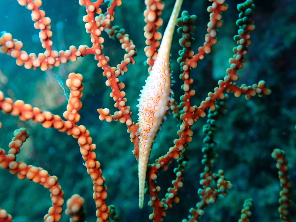 今日も行ってきましたー。