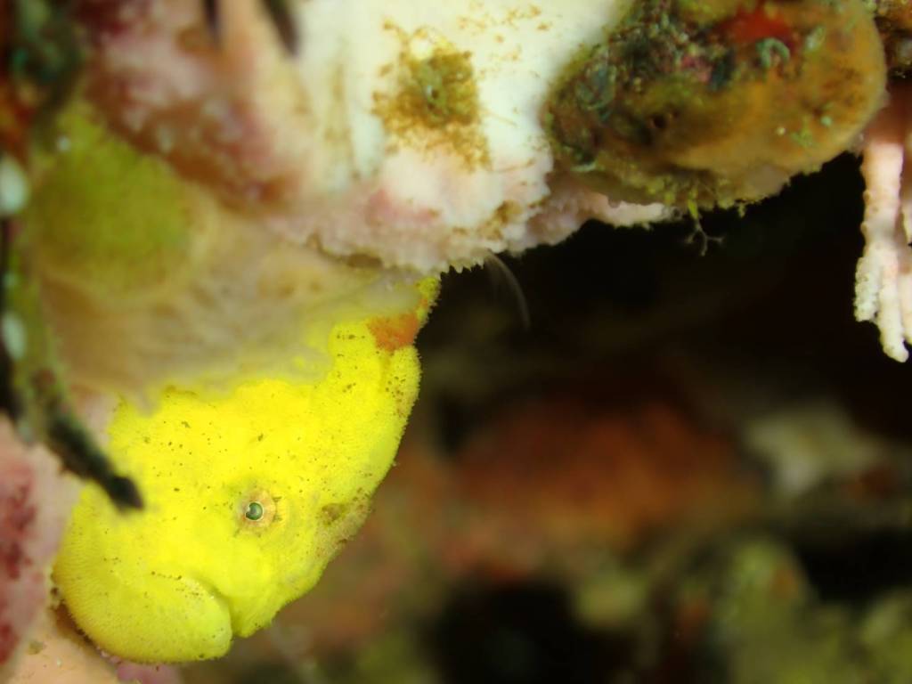 今日は陸作業でしたー。