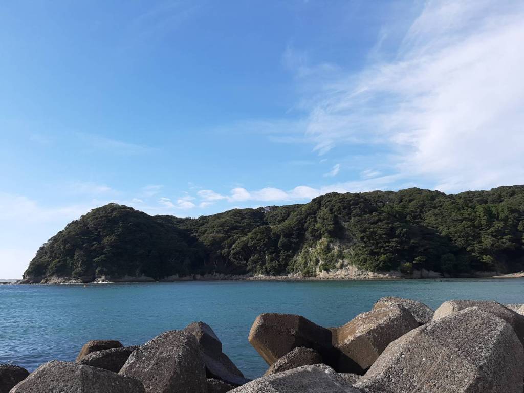 風に強いポイントに。