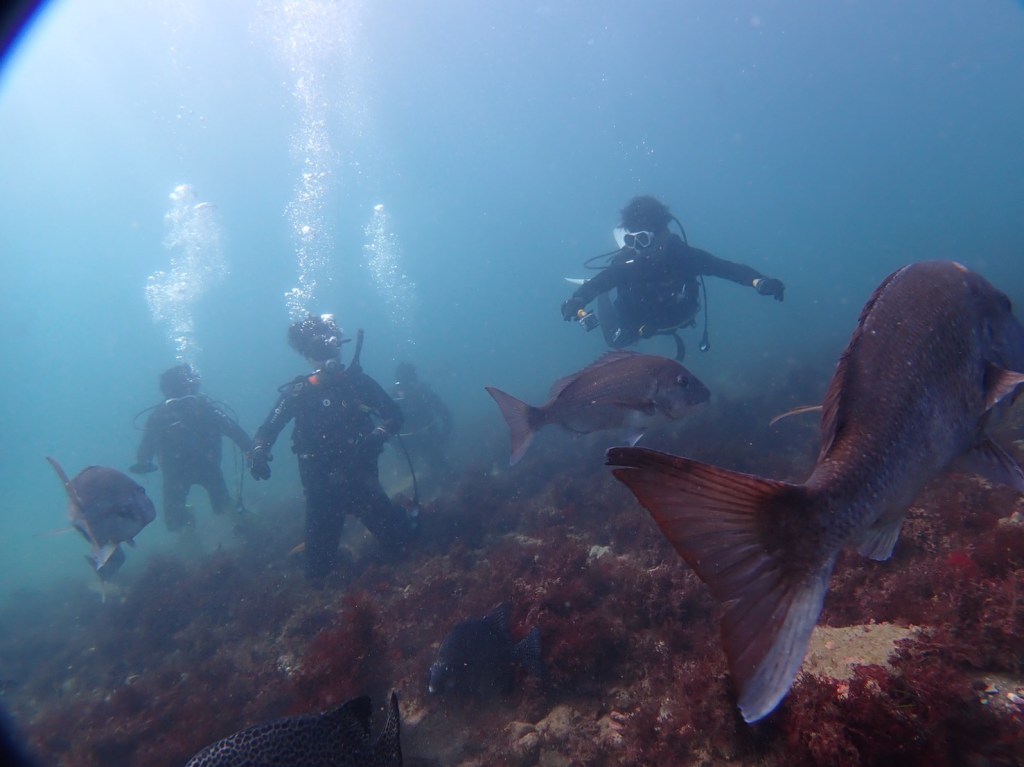 ファンとOWコースでした。