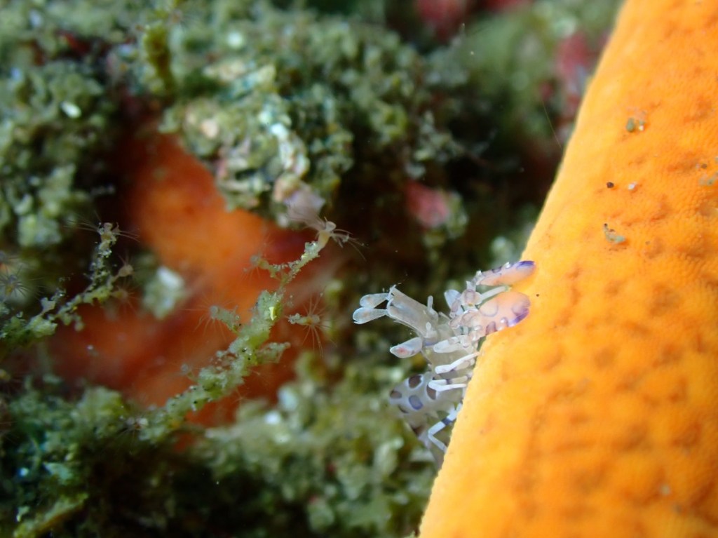 今日も行ってきました。