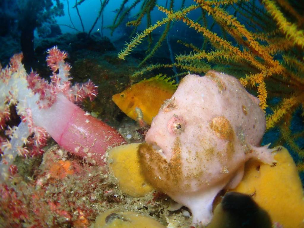 ３ボートでした。