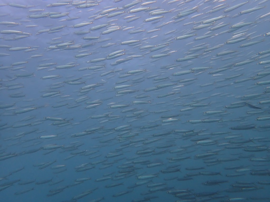 ZEROモニター会でした。