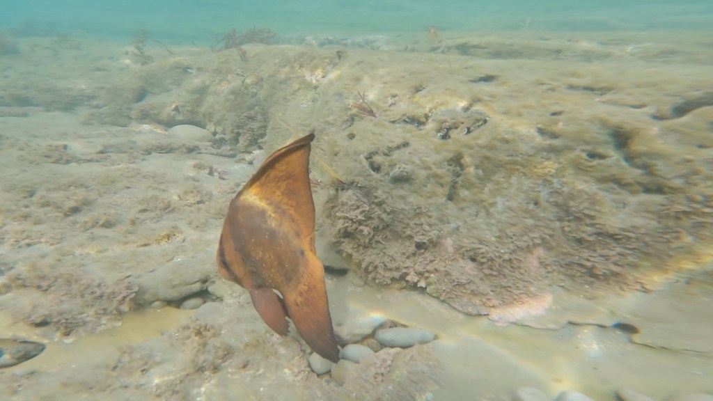 のんびり２ビーチ。