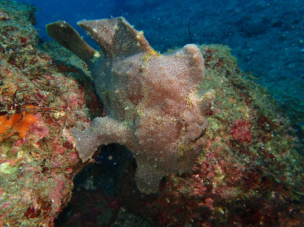 かっちゃま・うばらでしたー。