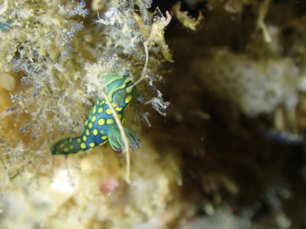 今年もありがとうございました。