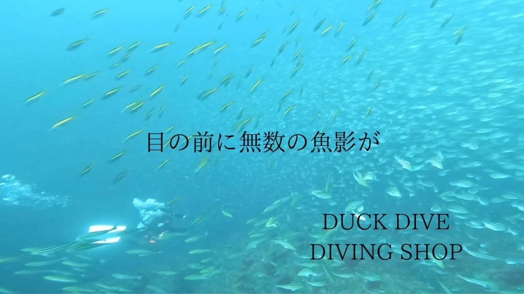 ウマノセ絶好調！！