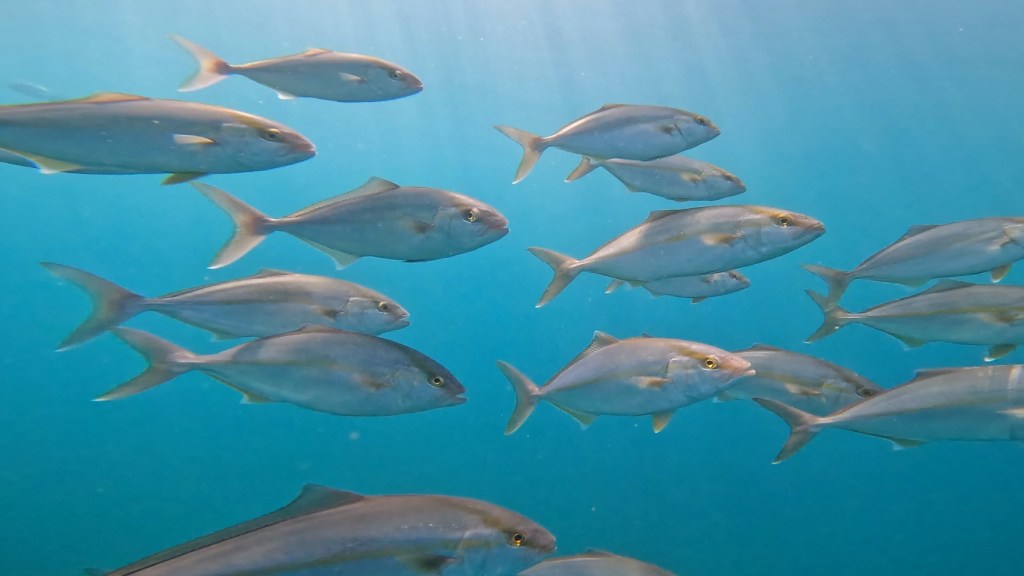 交換してきました。