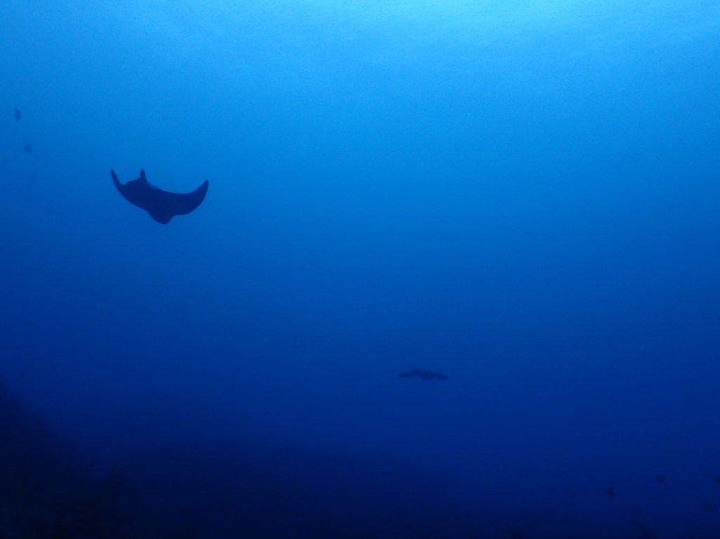 ３ボートいってきましたー。