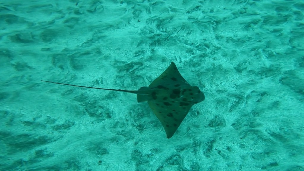 成長が早いです。