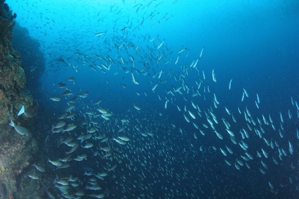 沖行ってきました