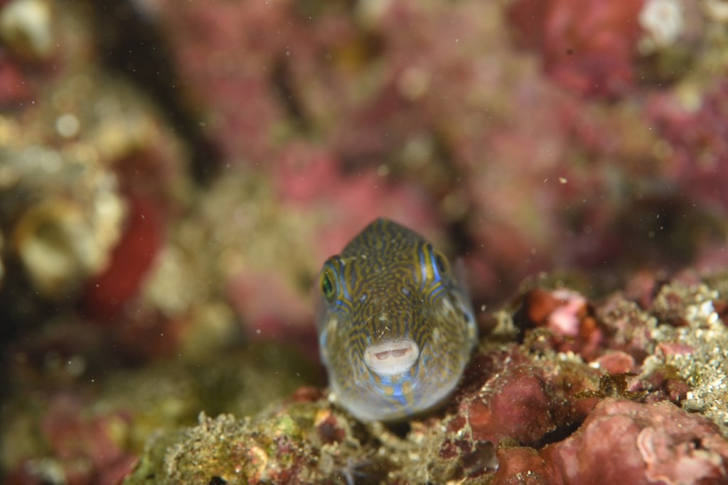 行川でしたー。