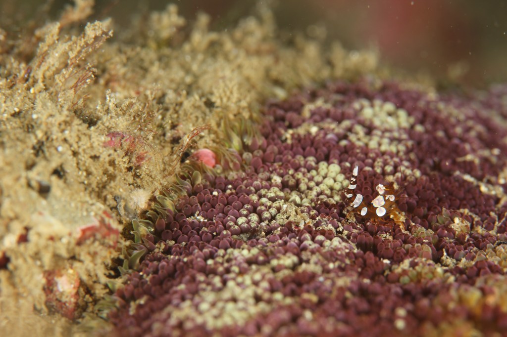 講習でしたー。