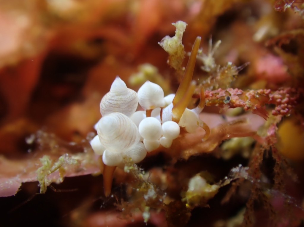 本日は、こちらに。